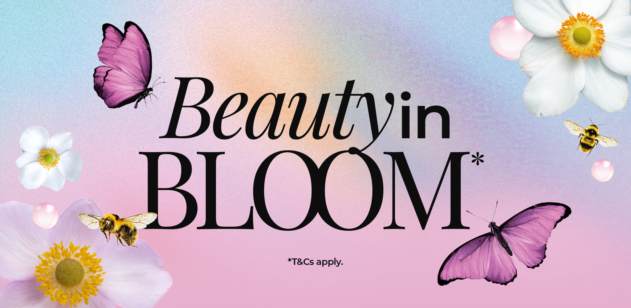 Beauty in Bloom
