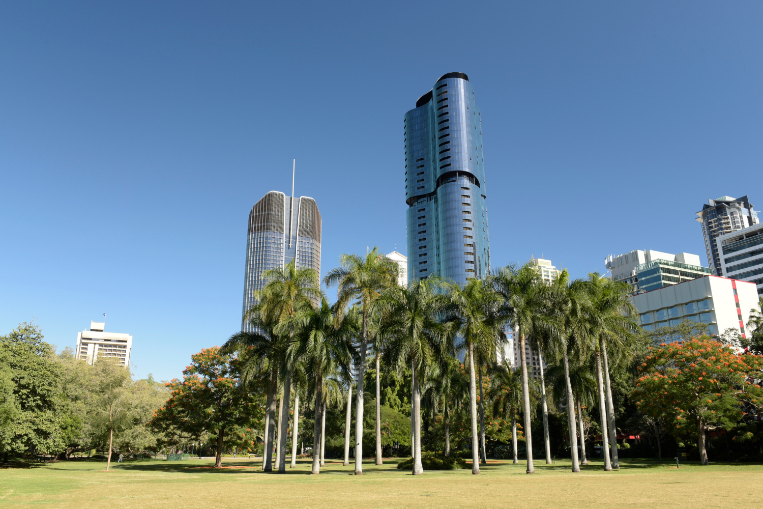 Brisbane City Botanic Gardens